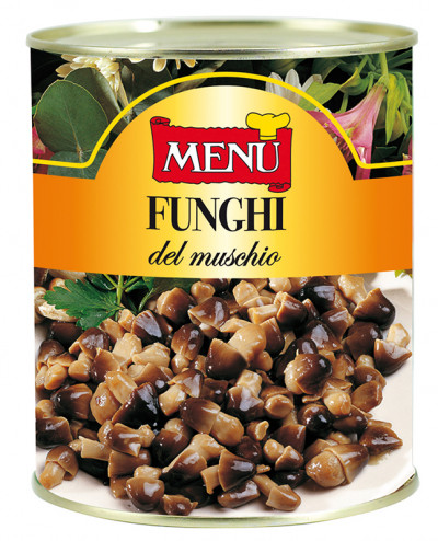 Funghi del muschio (Schwarzstreifige Scheidlinge)